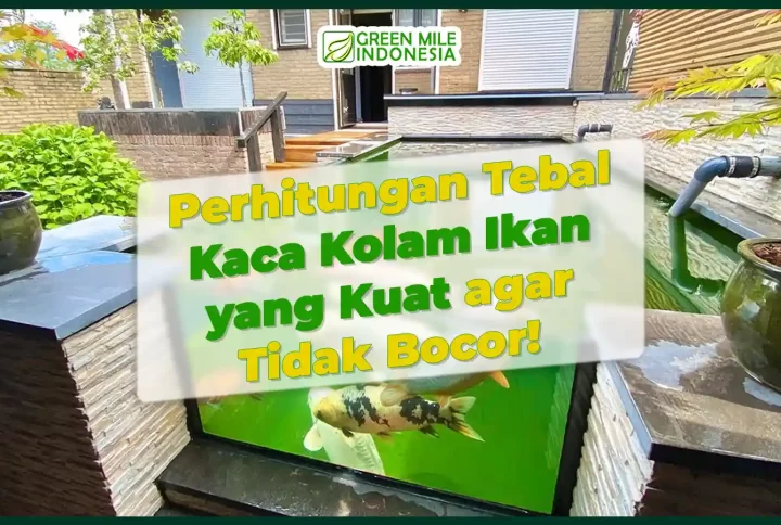 harga kaca laminated