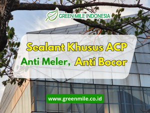 Sealant khusus untuk kaca dan acp