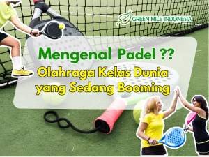 pengertian padel