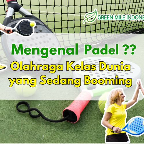 Apa Itu Padel? Simak Pengertian, Perlengkapan, dan Standar Lapangan Padel